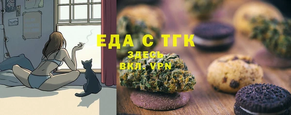 дживик Бронницы