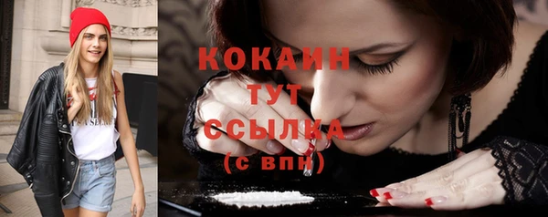 дживик Бронницы