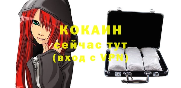 дживик Бронницы