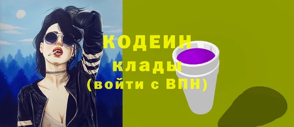 дживик Бронницы