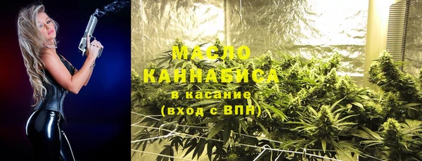 дживик Бронницы