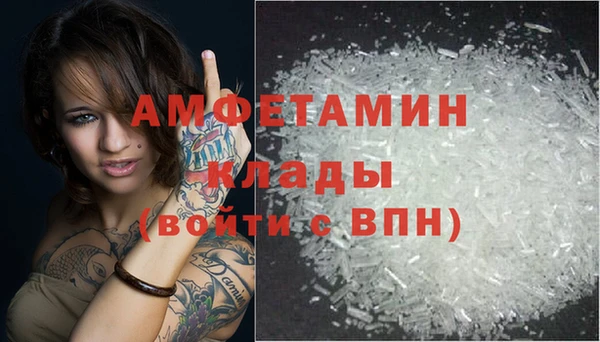 дживик Бронницы