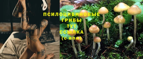 ГАЛЛЮЦИНОГЕННЫЕ ГРИБЫ Бородино