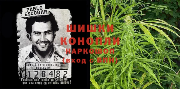 дживик Бронницы