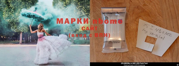 ГАЛЛЮЦИНОГЕННЫЕ ГРИБЫ Бородино