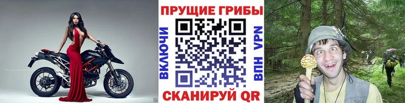 Галлюциногенные грибы Psilocybine cubensis  ссылка на мегу ссылки  Темников 